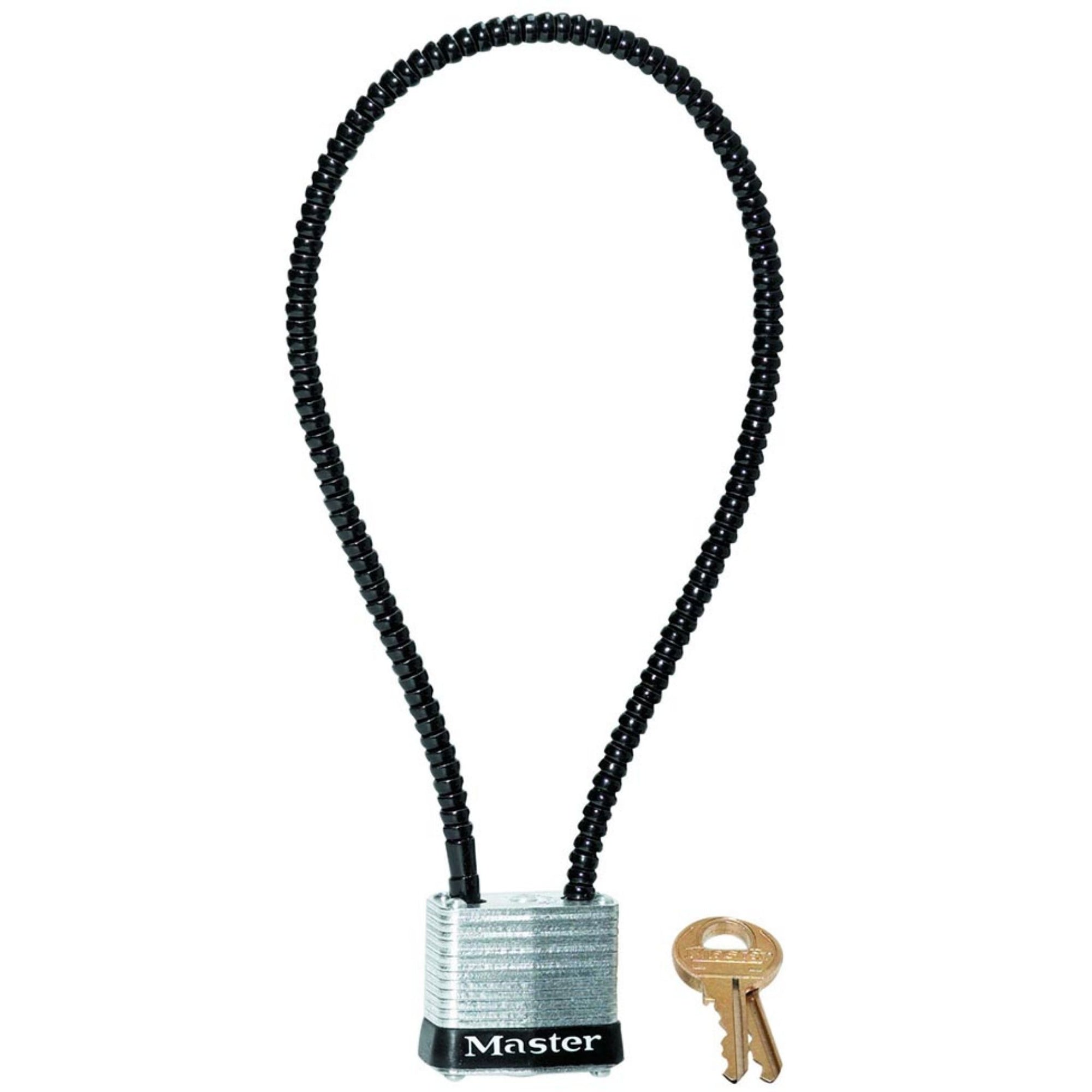 8122D Chains and Cable Locks